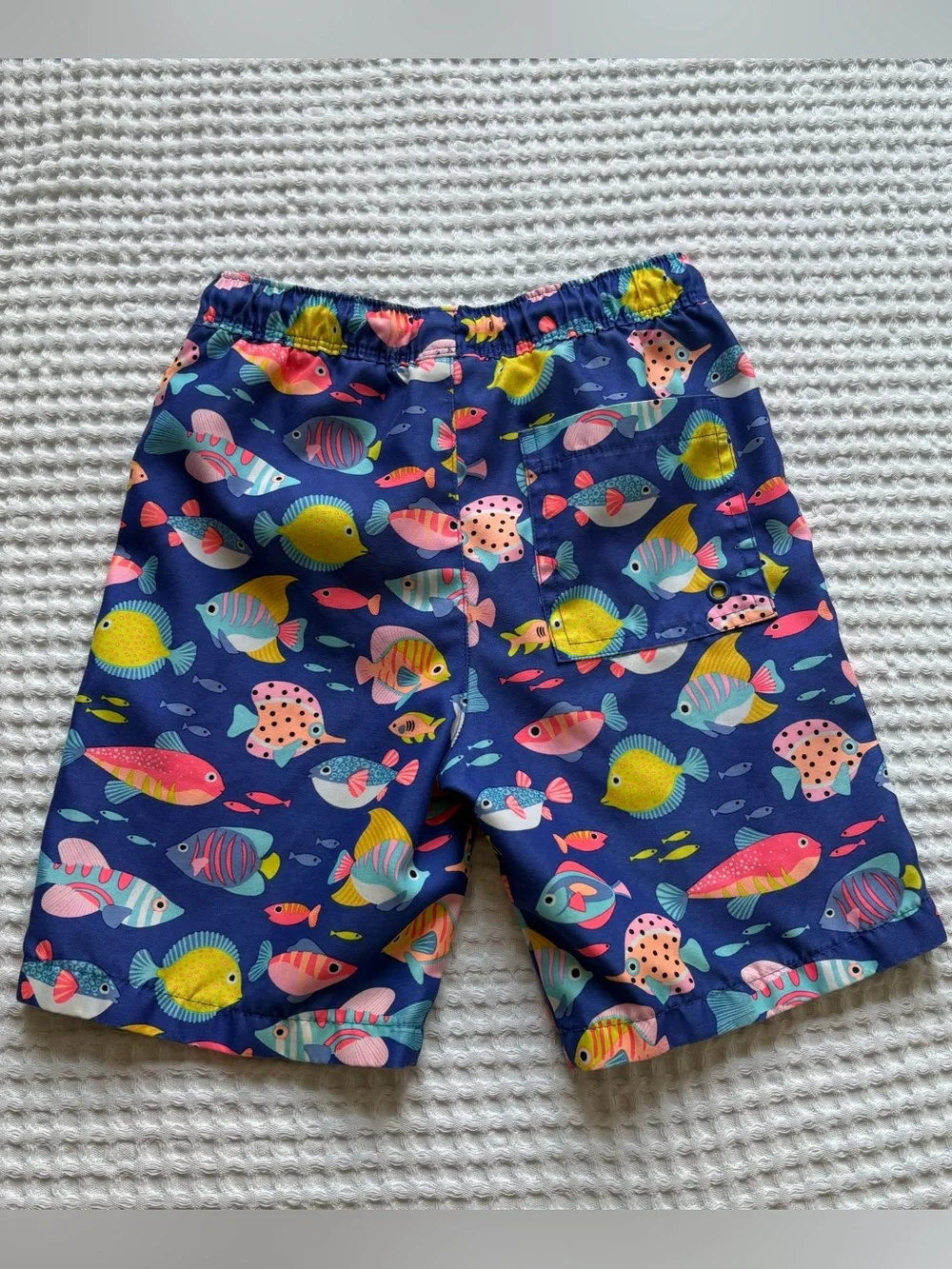 Gymboree Boys Tropical Fish Embroidered Rashguard Trunks Swim Set 2pc UPF 50 5T